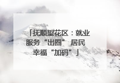 抚顺望花区：就业服务“出圈” 居民幸福“加码”