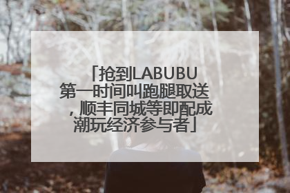 抢到LABUBU第一时间叫跑腿取送，顺丰同城等即配成潮玩经济参与者