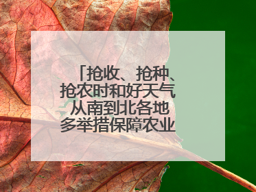 抢收、抢种、抢农时和好天气 从南到北各地多举措保障农业生产顺利进行