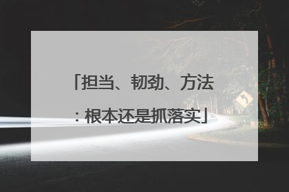 担当、韧劲、方法：根本还是抓落实