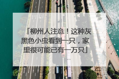 柳州人注意！这种灰黑色小虫看到一只，家里很可能已有一万只