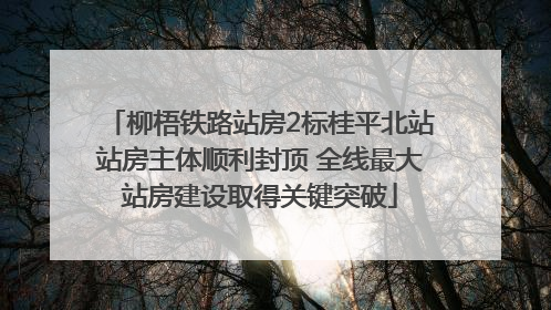 柳梧铁路站房2标桂平北站站房主体顺利封顶 全线最大站房建设取得关键突破