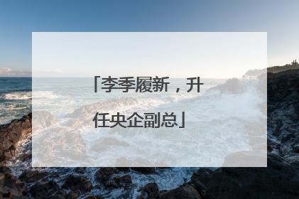李季履新，升任央企副总