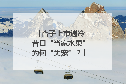 杏子上市遇冷 昔日“当家水果”为何“失宠”？