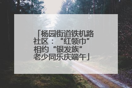 杨园街道铁机路社区：“红领巾”相约“银发族” 老少同乐庆端午