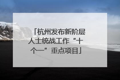 杭州发布新阶层人士统战工作“十个一”重点项目