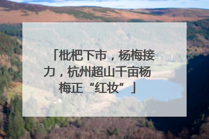 枇杷下市，杨梅接力，杭州超山千亩杨梅正“红妆”