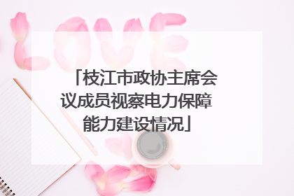 枝江市政协主席会议成员视察电力保障能力建设情况