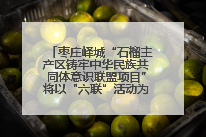 枣庄峄城“石榴主产区铸牢中华民族共同体意识联盟项目”将以“六联”活动为抓手深化品牌建设