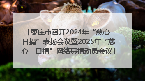 枣庄市召开2024年“慈心一日捐”表扬会议暨2025年“慈心一日捐”网络募捐动员会议