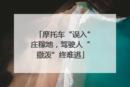 摩托车“误入”庄稼地，驾驶人“撒泼”终难逃