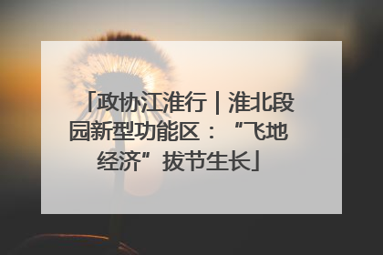 政协江淮行｜淮北段园新型功能区：“飞地经济”拔节生长
