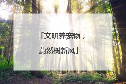 文明养宠物，蔚然树新风