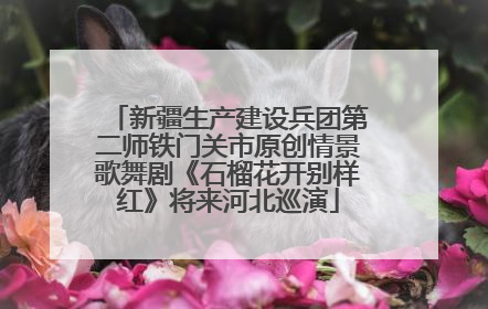 新疆生产建设兵团第二师铁门关市原创情景歌舞剧《石榴花开别样红》将来河北巡演