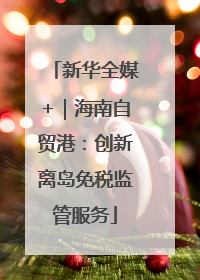 新华全媒+｜海南自贸港：创新离岛免税监管服务