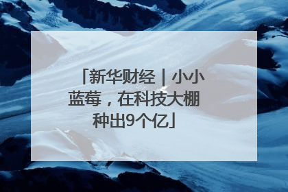 新华财经｜小小蓝莓，在科技大棚种出9个亿