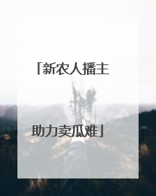 新农人播主 助力卖瓜难