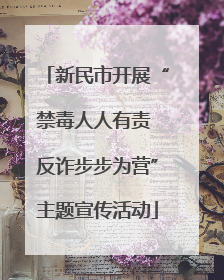 新民市开展“禁毒人人有责 反诈步步为营”主题宣传活动