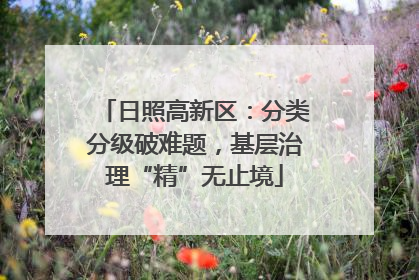 日照高新区：分类分级破难题，基层治理“精”无止境
