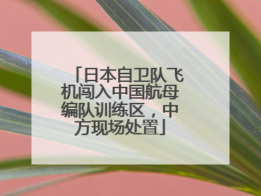 日本自卫队飞机闯入中国航母编队训练区，中方现场处置
