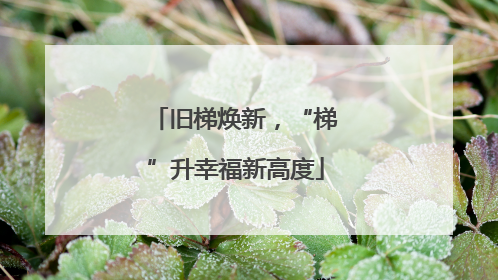 旧梯焕新，“梯”升幸福新高度
