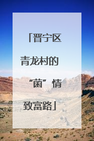 晋宁区青龙村的“菌”情致富路