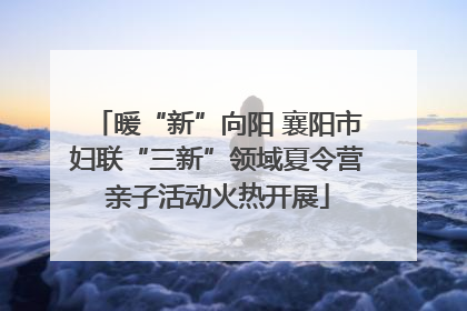 暖“新”向阳 襄阳市妇联“三新”领域夏令营亲子活动火热开展