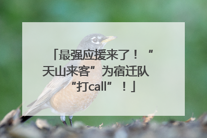 最强应援来了！“天山来客”为宿迁队“打call”！
