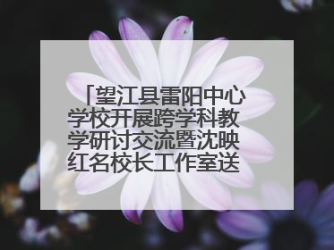 望江县雷阳中心学校开展跨学科教学研讨交流暨沈映红名校长工作室送教活动