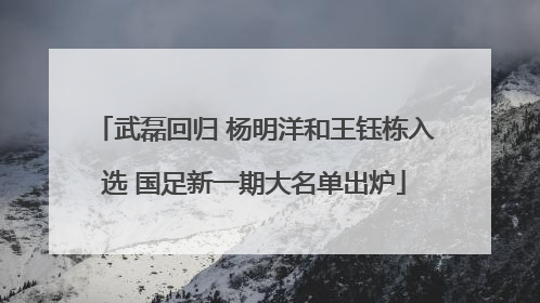 武磊回归 杨明洋和王钰栋入选 国足新一期大名单出炉