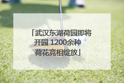 武汉东湖荷园即将开园 1200余种荷花竞相绽放