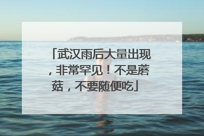 武汉雨后大量出现，非常罕见！不是蘑菇，不要随便吃