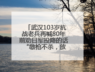 武汉103岁抗战老兵再喊80年前劝日军投降的话 “缴枪不杀，放你回家”