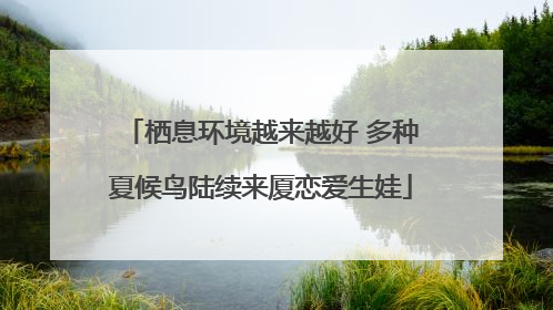 栖息环境越来越好 多种夏候鸟陆续来厦恋爱生娃