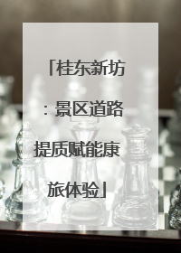 桂东新坊：景区道路提质赋能康旅体验