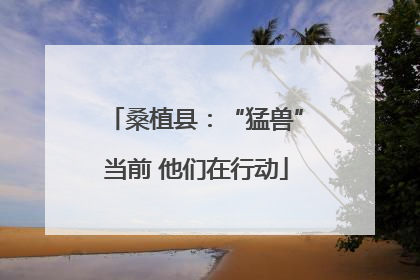 桑植县：“猛兽”当前 他们在行动