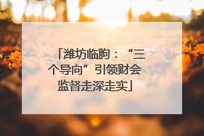 潍坊临朐：“三个导向”引领财会监督走深走实