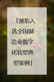 潍坊入选全国制造业数字化转型典型案例