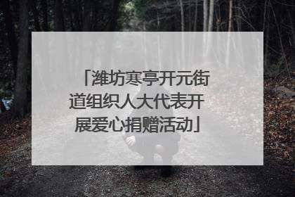潍坊寒亭开元街道组织人大代表开展爱心捐赠活动