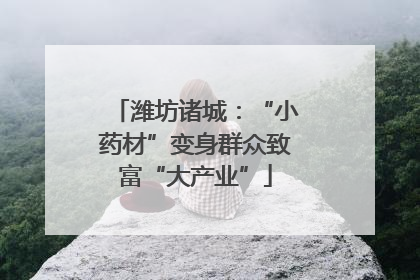 潍坊诸城：“小药材”变身群众致富“大产业”