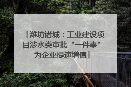 潍坊诸城：工业建设项目涉水类审批“一件事” 为企业提速增值