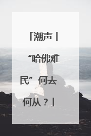 潮声丨“哈佛难民”何去何从？