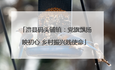 澧县码头铺镇：党旗飘扬映初心 乡村振兴践使命