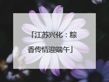 江苏兴化：粽香传情迎端午