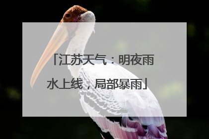 江苏天气：明夜雨水上线，局部暴雨