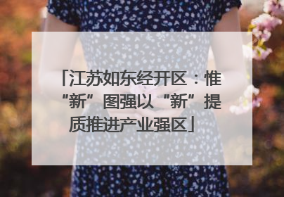 江苏如东经开区：惟“新”图强以“新”提质推进产业强区