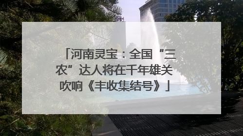 河南灵宝：全国“三农”达人将在千年雄关吹响《丰收集结号》