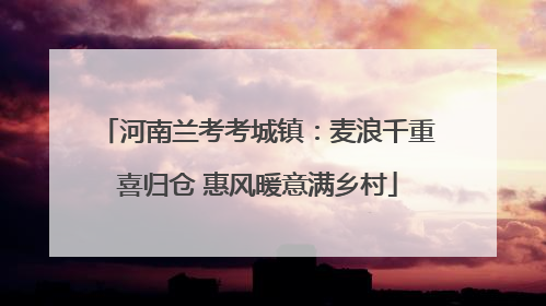 河南兰考考城镇：麦浪千重喜归仓 惠风暖意满乡村