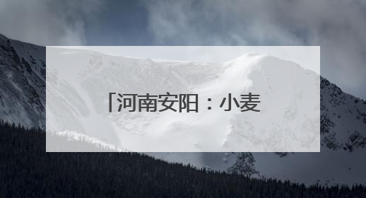 河南安阳：小麦收获基本结束