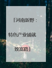 河南新野：特色产业铺就致富路